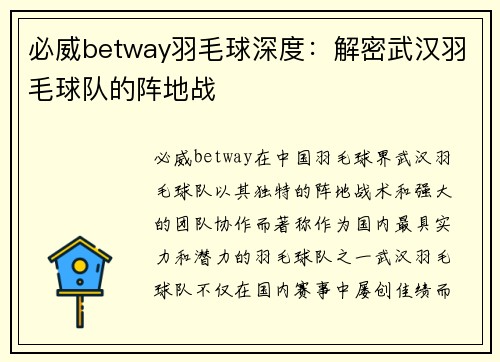 必威betway羽毛球深度：解密武汉羽毛球队的阵地战